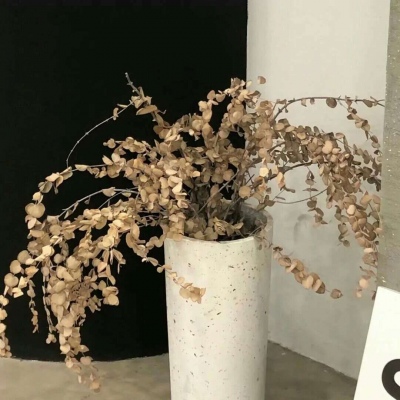 Furry插画背景绘制福瑞交流群